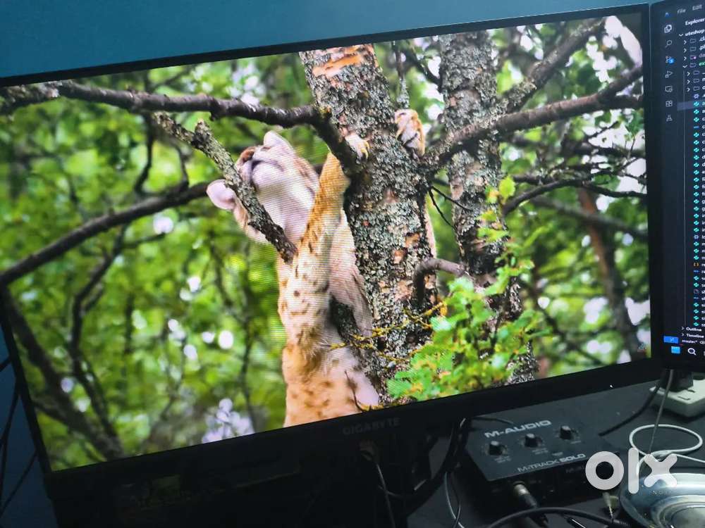 Gigabyte g24f Monitor 165hz 24inch
