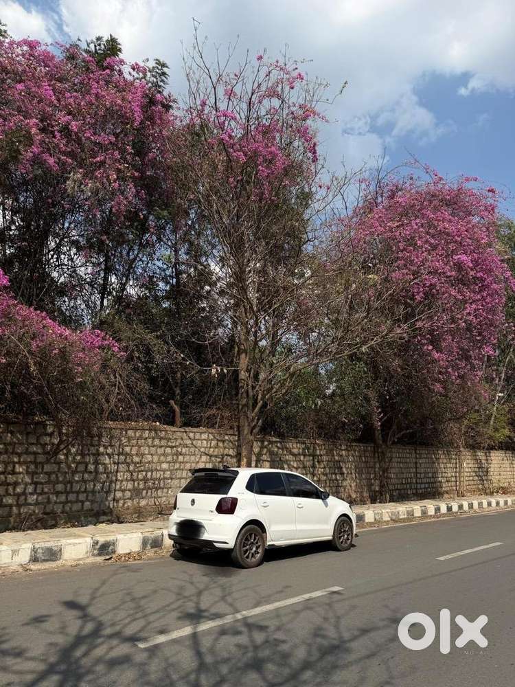 Volkswagen Polo 2016 Petrol Well Maintained