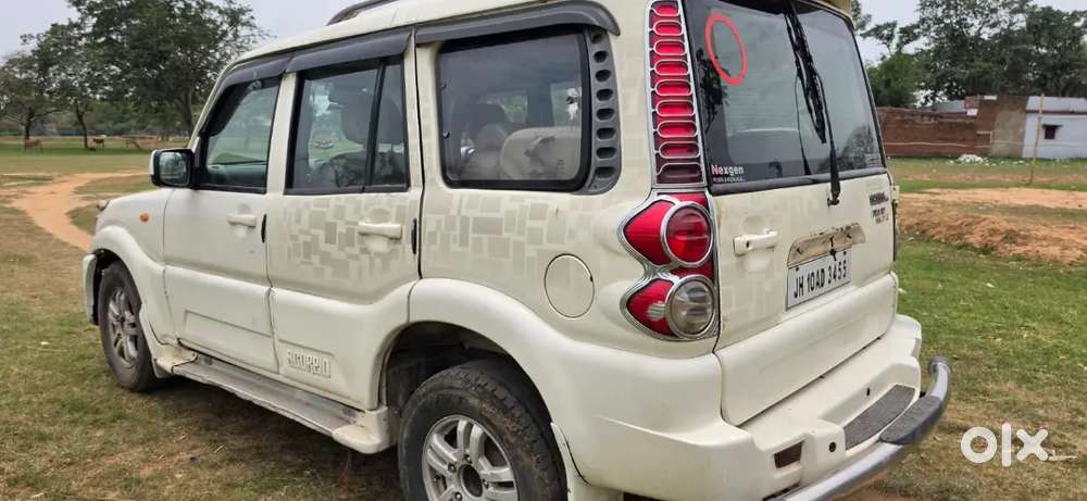 Loharda Ka Patla Toli