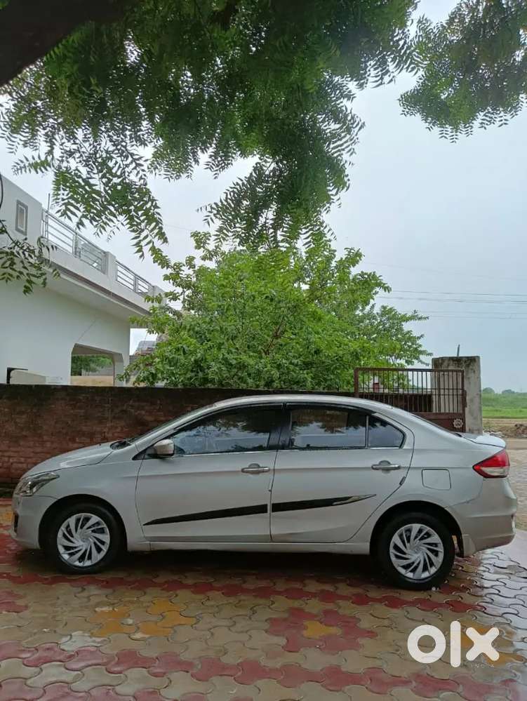 Maruti Suzuki Ciaz 2016 Year