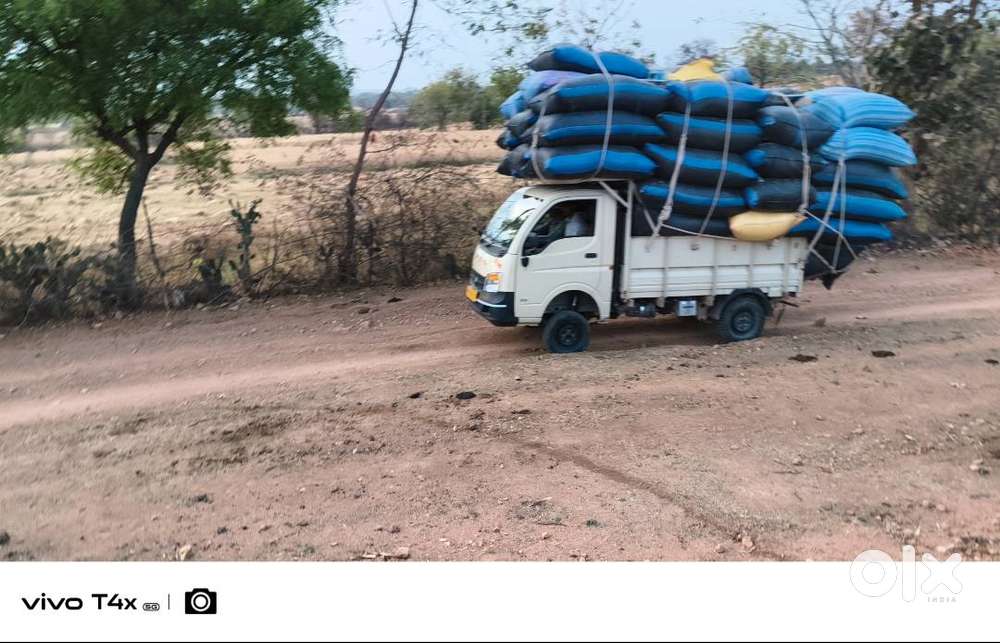 Brand Tata Model Ace Gold Petrol Age 2year