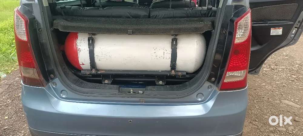 Maruti Suzuki Wagon R 2013 Hybrid
