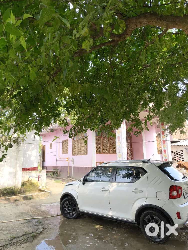 Maruti Suzuki Ignis 2022