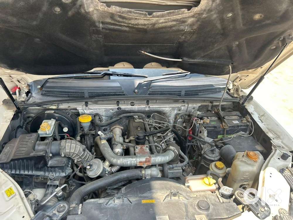 Mahindra Scorpio 2019 Diesel Well Maintained