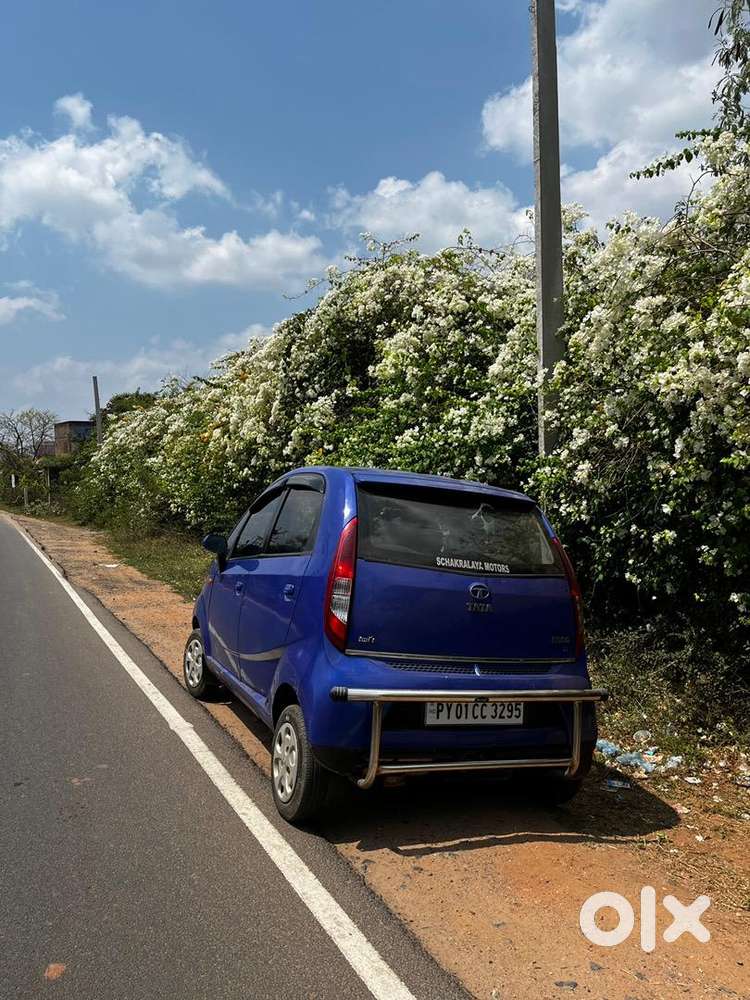 Nano 2013 Top Variant