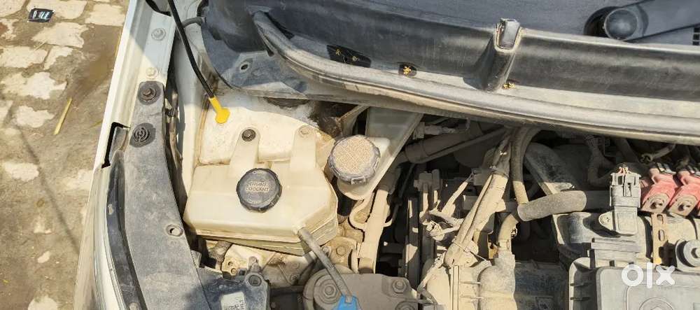 Petrol Cng 2021