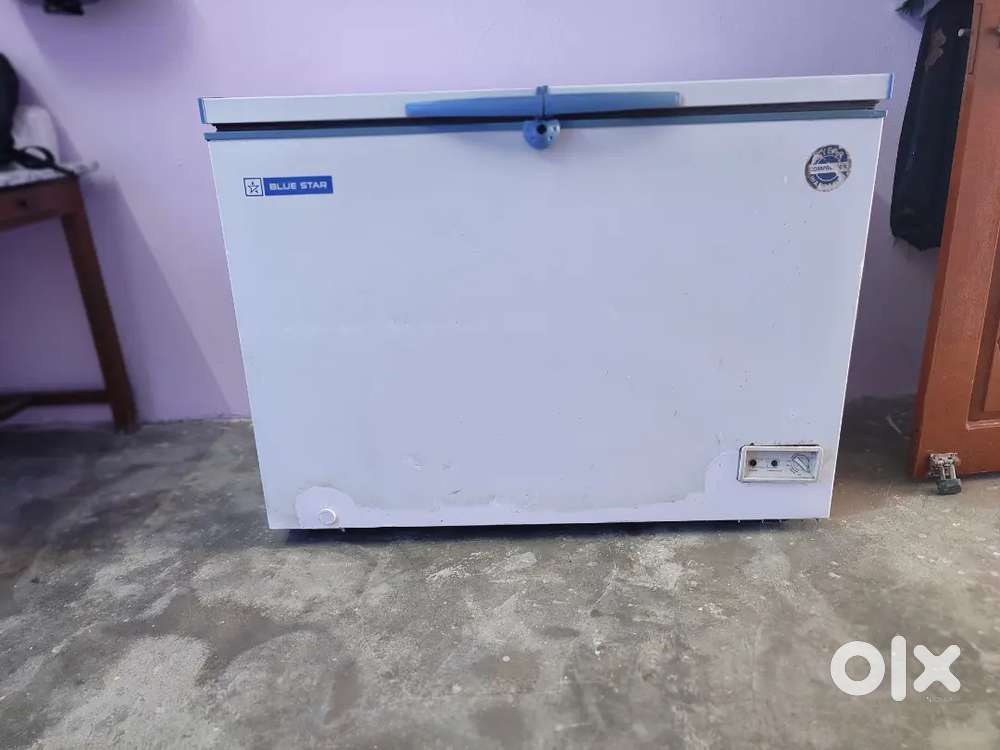Blue Star Deep Freezer (Compressor Not Working / For Repair or Parts)