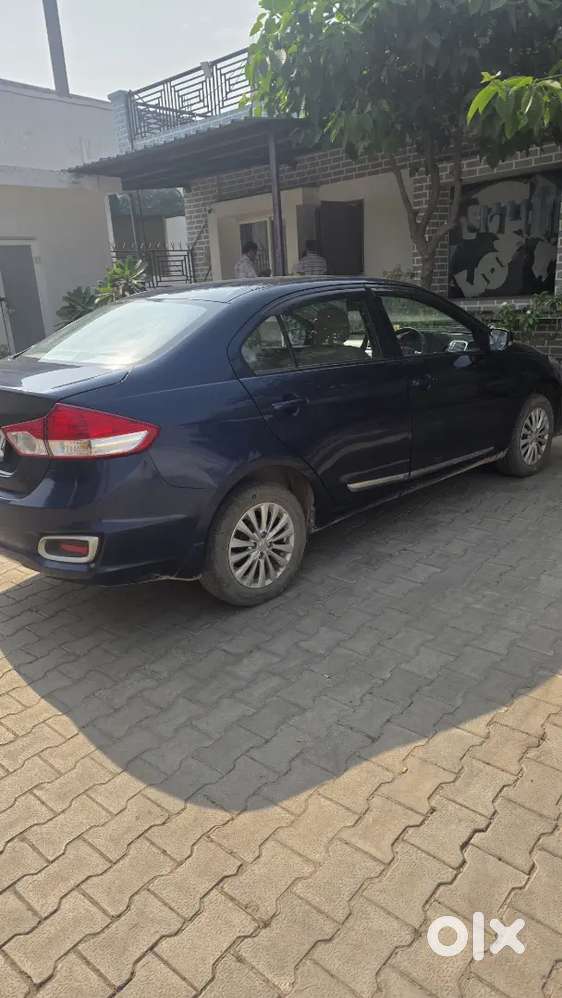 Maruti Suzuki Ciaz 2023 Petrol Manual