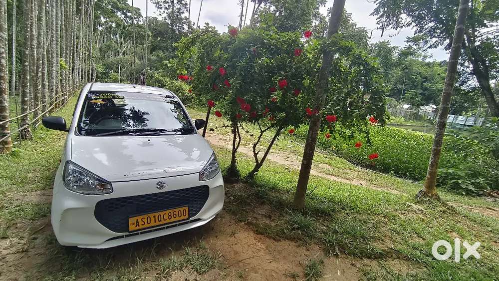 Maruti Suzuki Alto K10 2023 Petrol 51000 Km Driven