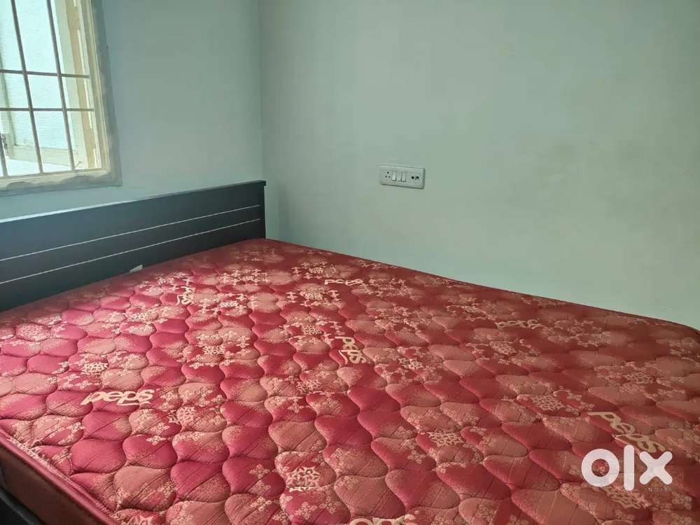 Peps Matress and Pepperfry queen size Cot(Engineering wood) Beds