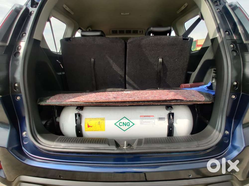 Maruti Suzuki Xl6 Zeta Mt Cng, 2024, Cng & Hybrids