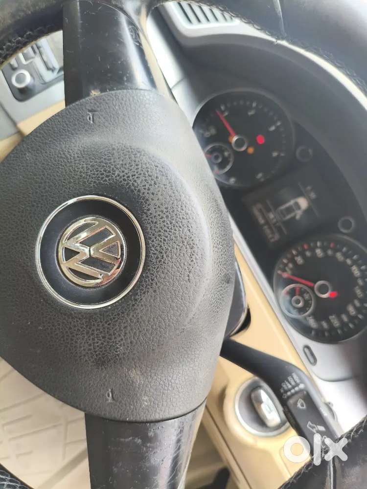 2013 Model