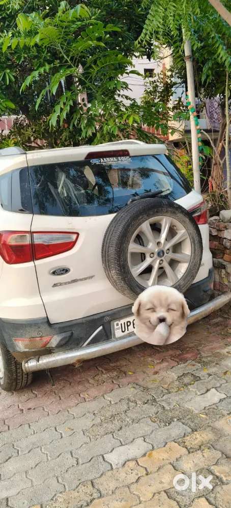 Ford Ecosport Diesel Manual 2017