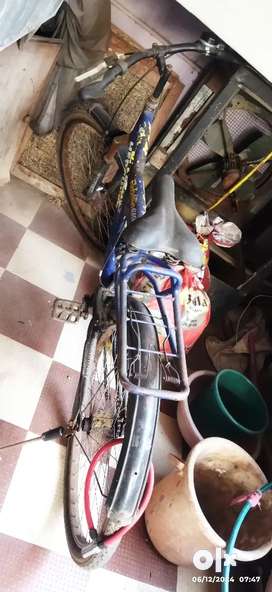 Buy Sell Second Hand Cycles in Rajnandgaon Used Cycles in Rajnandgaon OLX