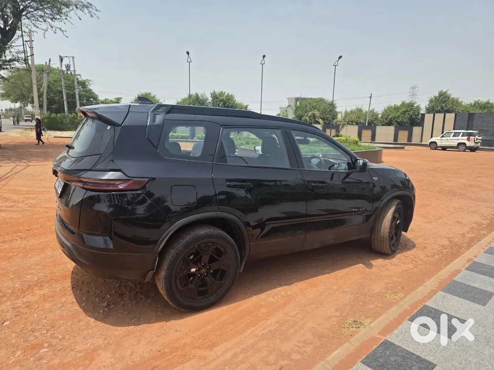 Safari Automatic