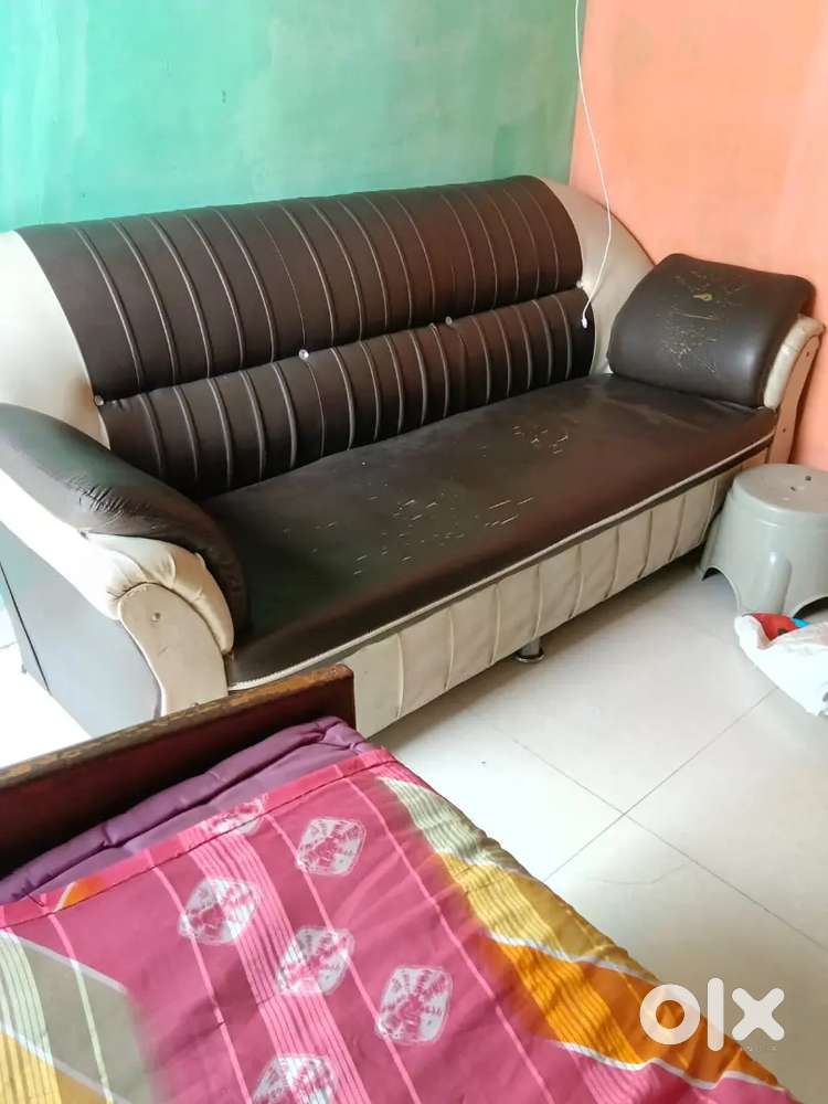 Single sofa Sofa Sofa Sofa
