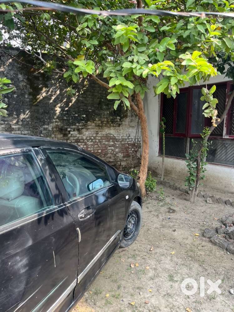 Honda City Petrol 2009