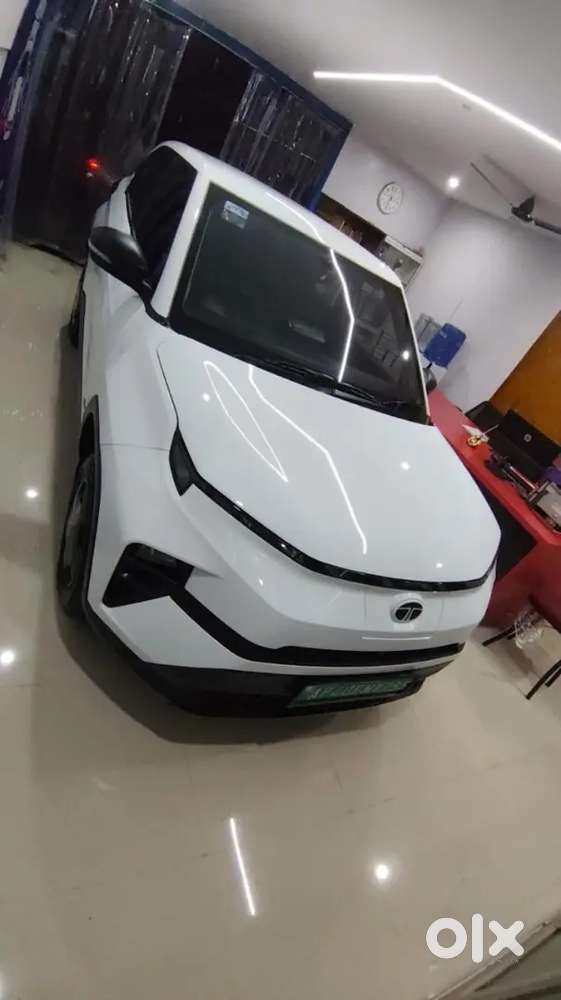 Tata Punch Ev 2025