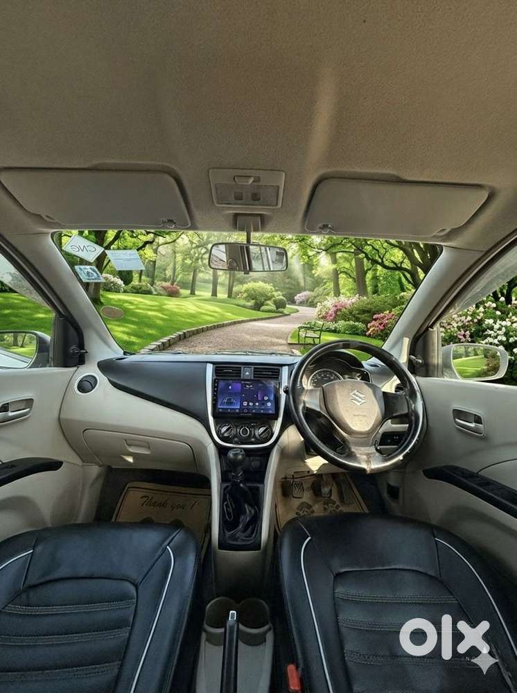 Maruti Suzuki Celerio Cng Vxi Optional, 2018, Cng & Hybrids