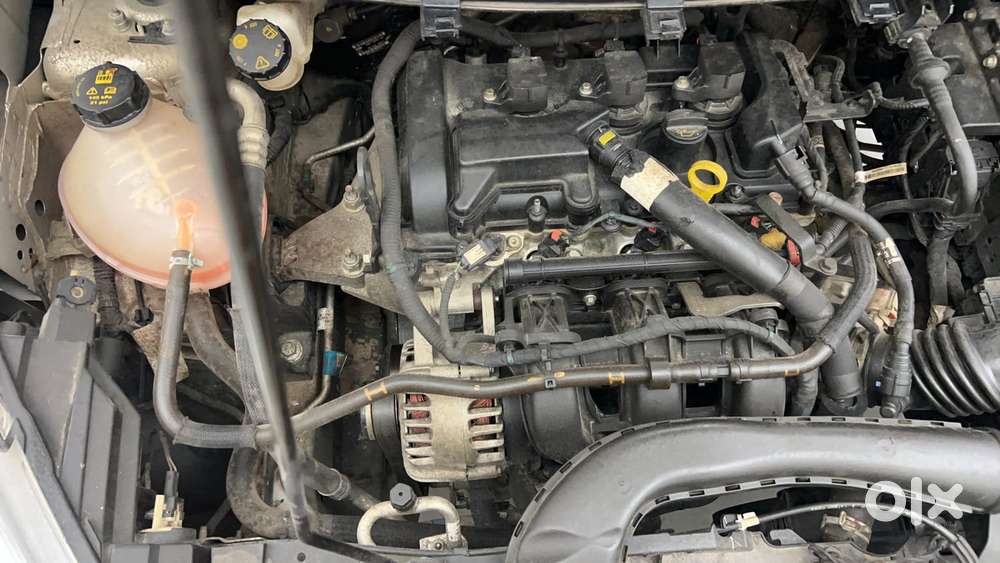 Ford Freestyle Titanium Plus Petrol, 2021, Petrol