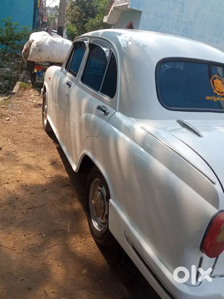 Ambassador Ambassador 2008