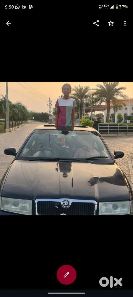 Skoda Octavia 2029 Validity