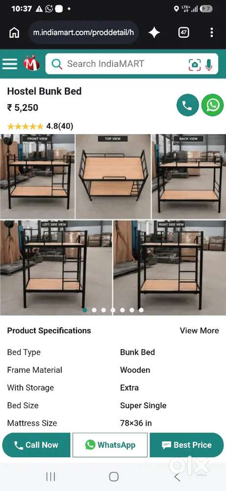BUNK Bed Single Bed for sale