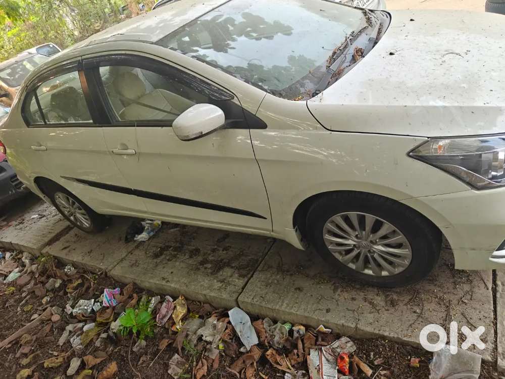 Maruti Suzuki Ciaz 2024 Petrol 14000 Km Driven
