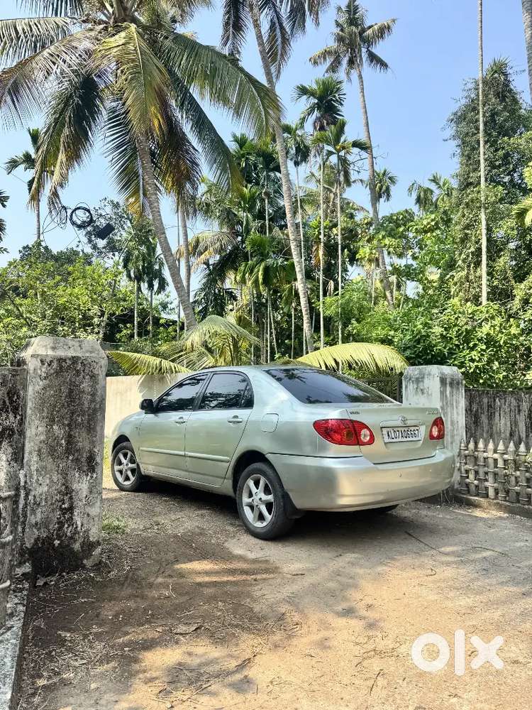 Corolla 2004 Model