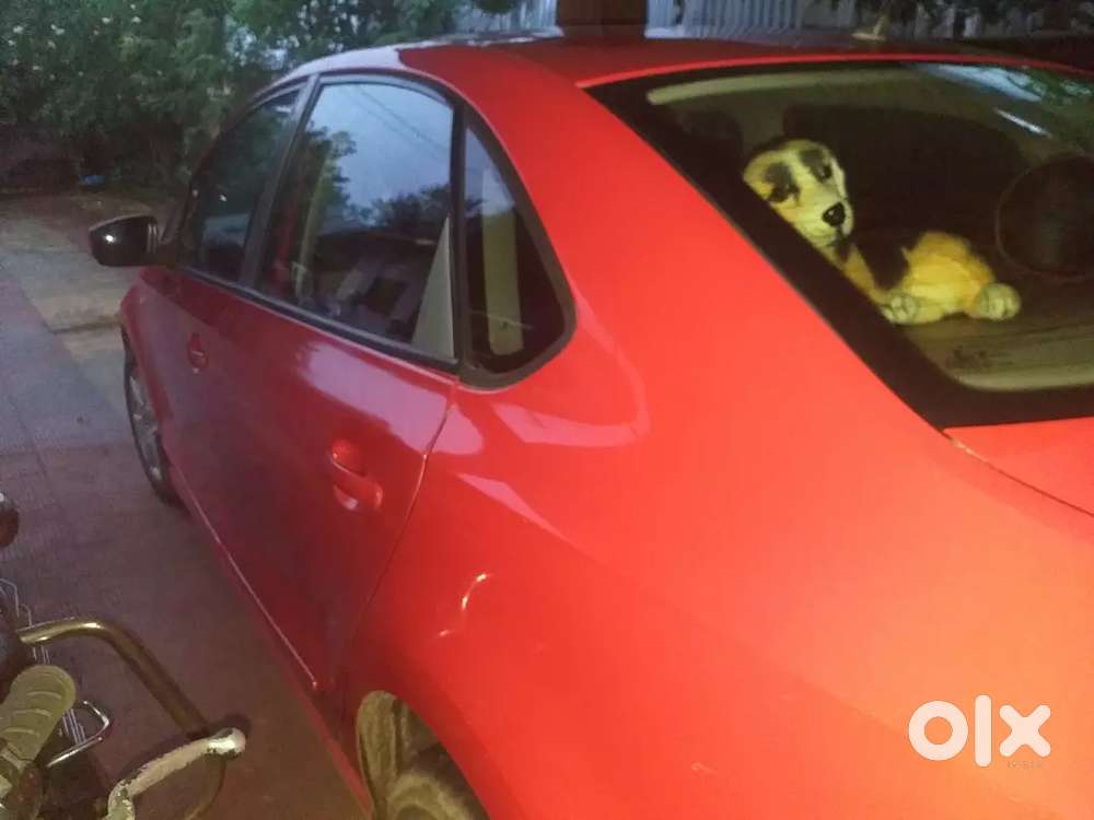 Brand New Car
