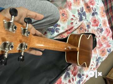 Olx ukulele concert sales