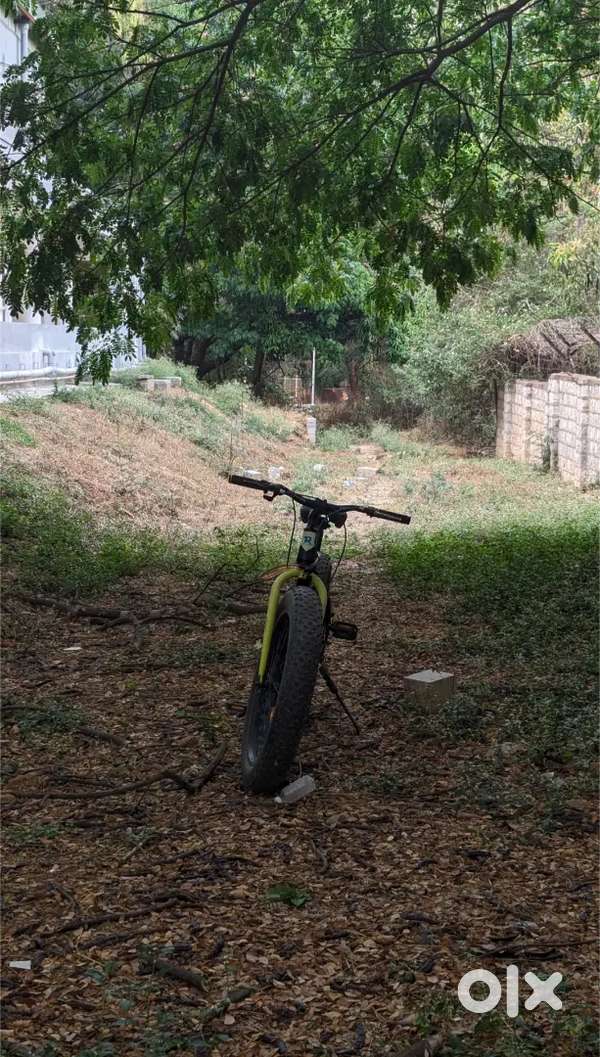 fat bicycle