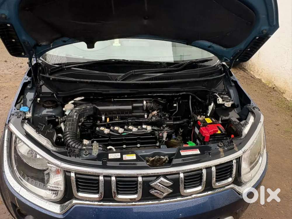 Ignis Car Maruti Suzuki