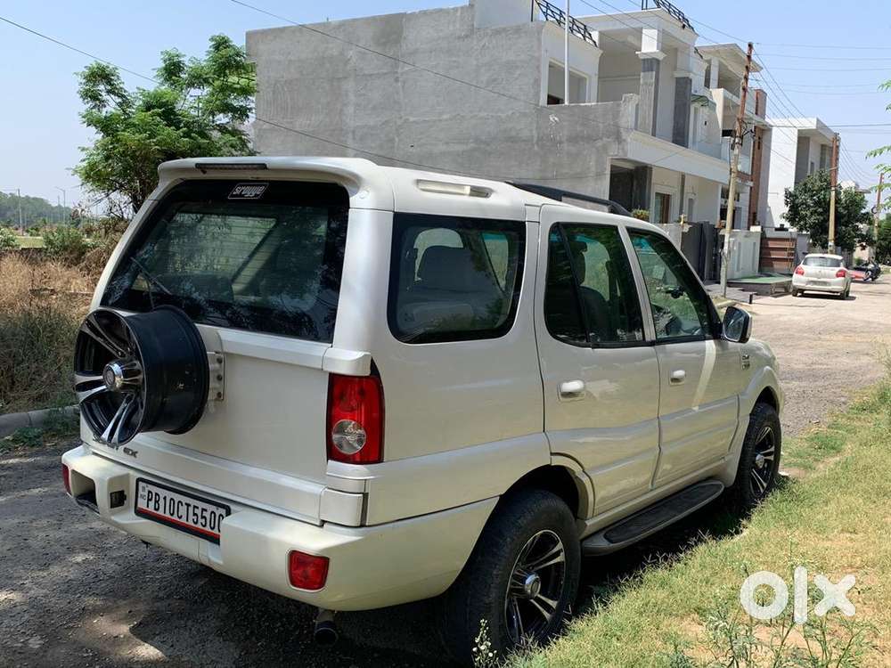 Tata Petrol Diesel 2010