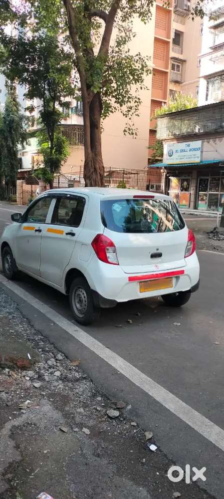 Maruti Suzuki Celerio T Arpmit 2021 Year Model