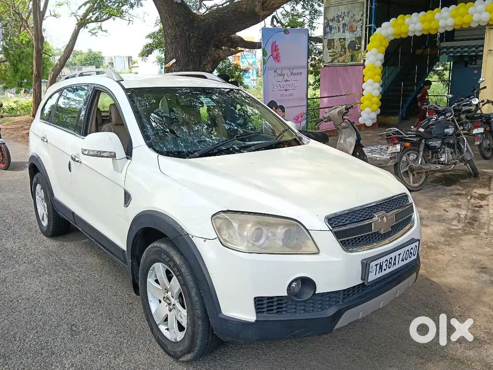 Good Condition White Beauty