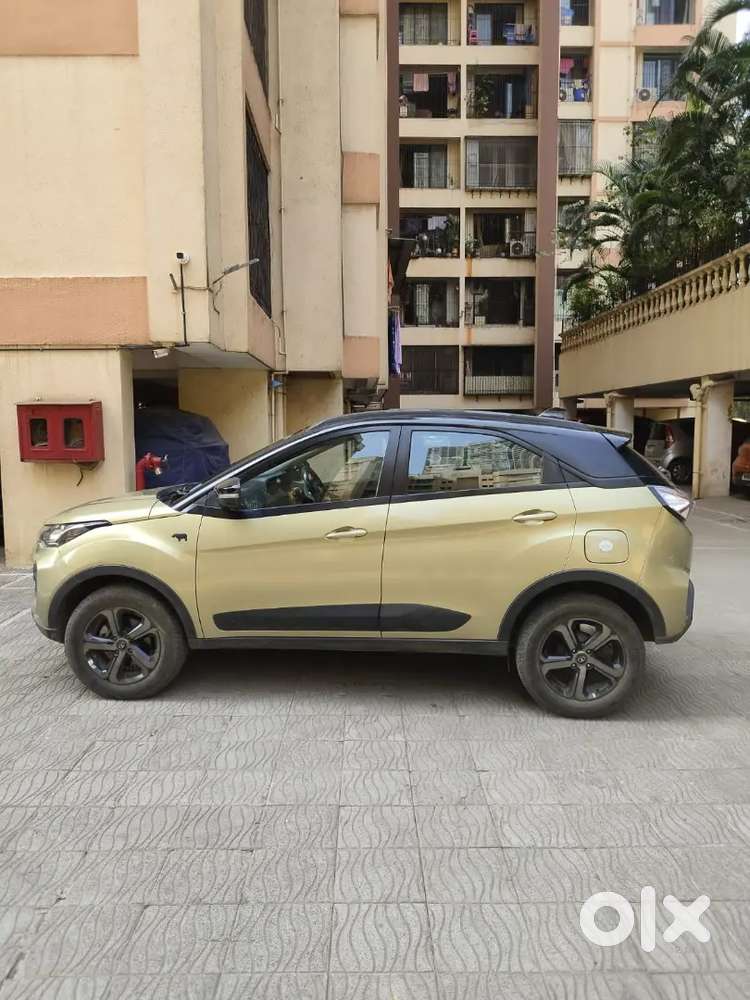 Tata Nexon Kaziranga Special Edition, Diesel Amt