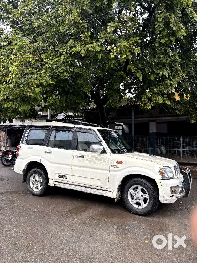 Scorpio Vlx Top Model M Hork