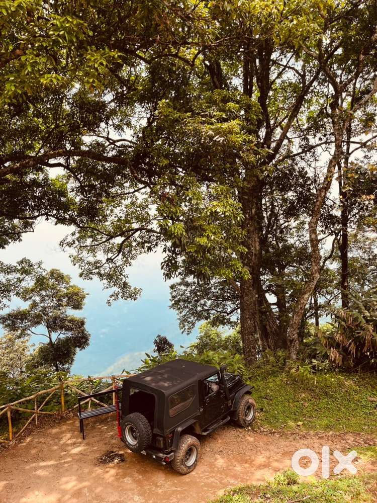 Thar Crde Professionally Build & Costomised Off-road Mechine