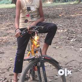 Sprint Cycle Buy Sell Second Hand Cycles in India Used Cycles in India OLX