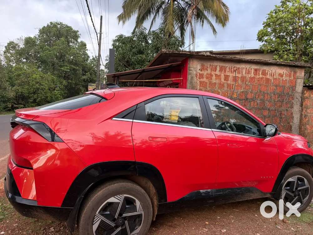 Tata Curvv 2024 Petrol Well Maintained
