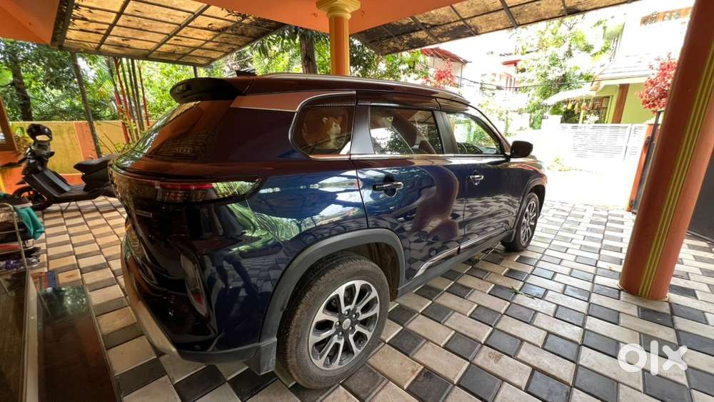 Maruti Suzuki Petrol 2024