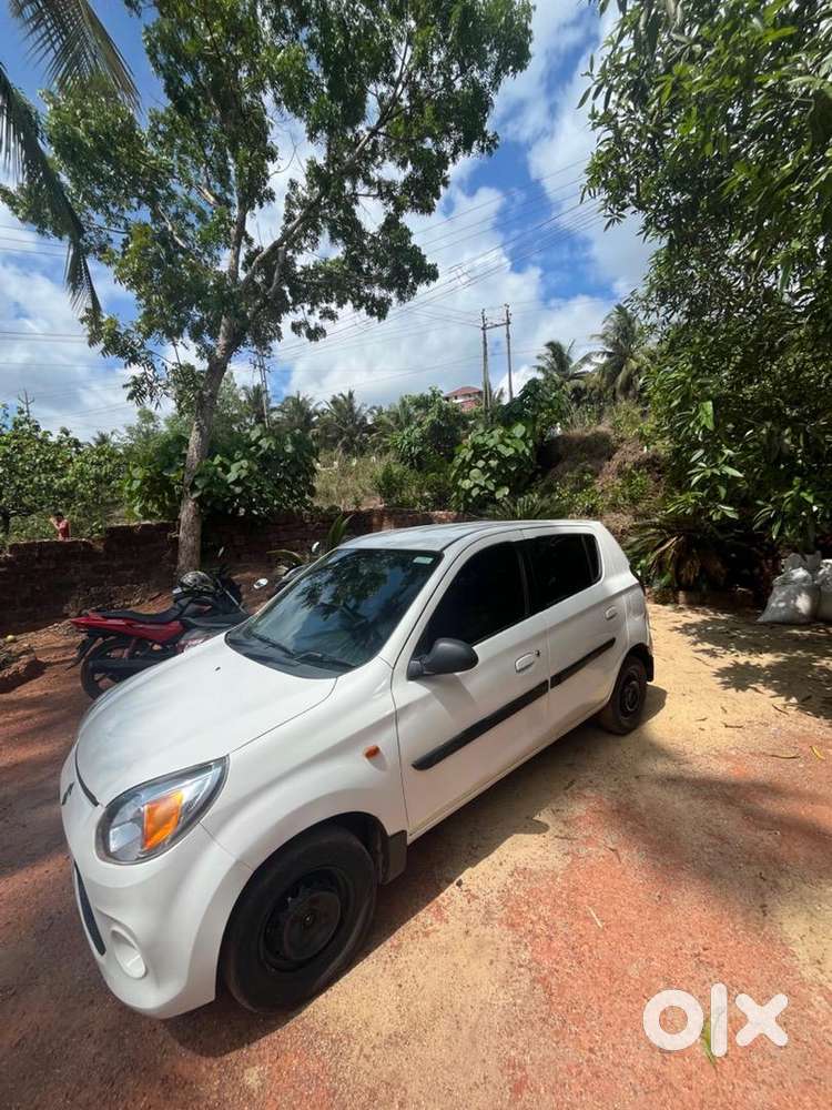 Maruti Suzuki Car 2016