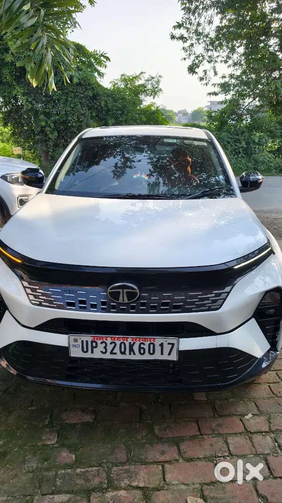 Tata Curvv Diesel Manual 2025