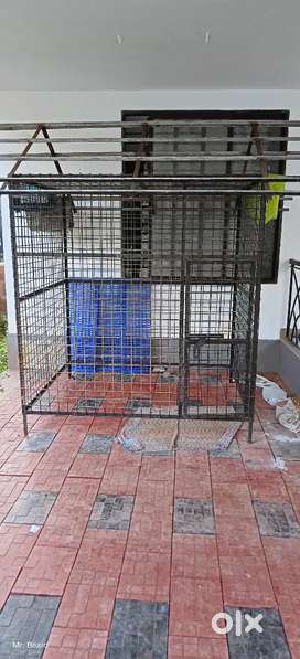 Olx dog best sale kennels for sale