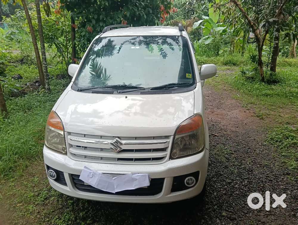 Maruti Suzuki Wagon R 2009 Last Word