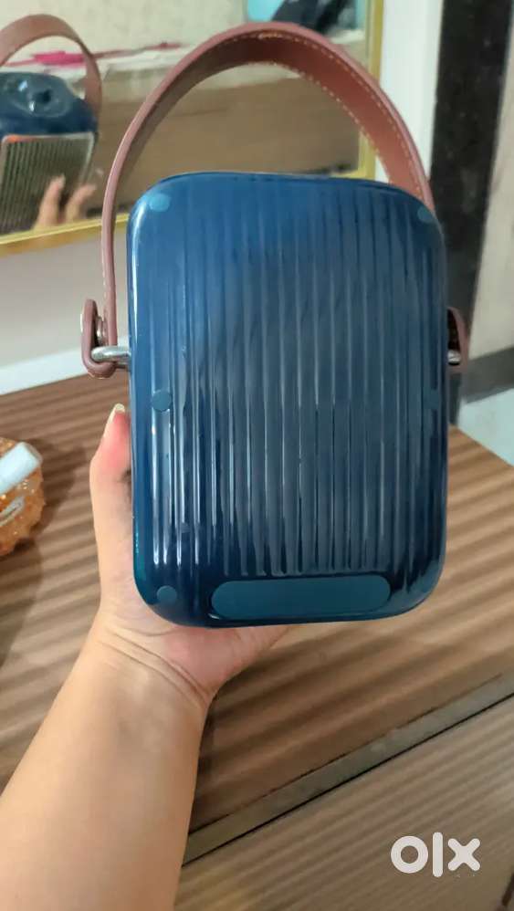 Radio speaker