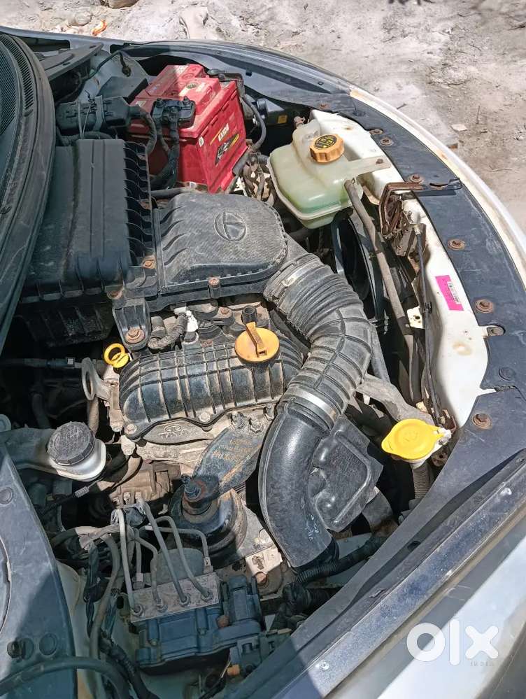 Tata Tiago 2019 Petrol Well Maintained