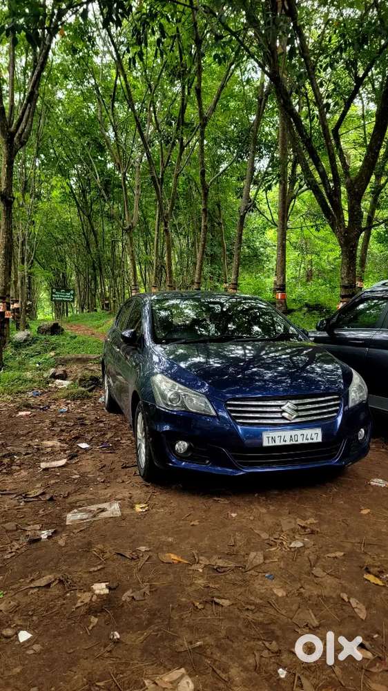 Maruti Suzuki Ciaz 2017 Diesel Well Maintained