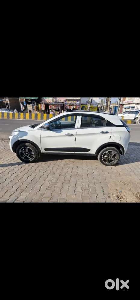 Nexon Xm Cng Petrol